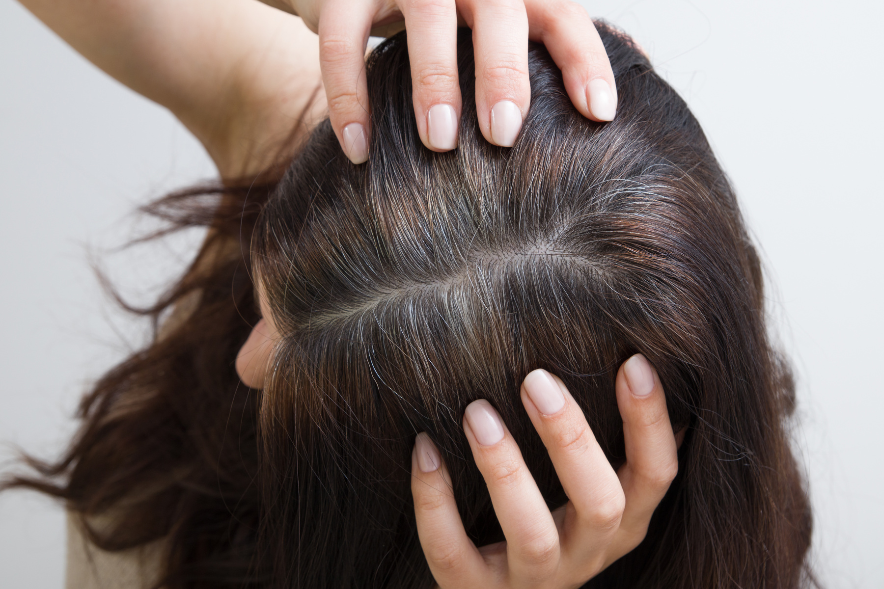 The woman shows gray hair on her head. Hair with fragments of gray hair, hair roots requiring dyeing